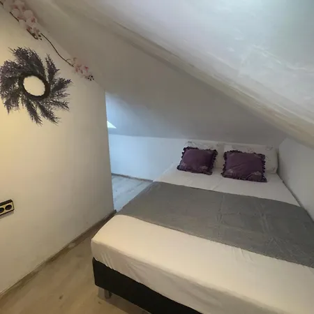Guest house Arolen 3*