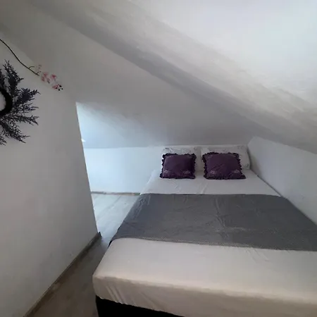 Arolen Guest house